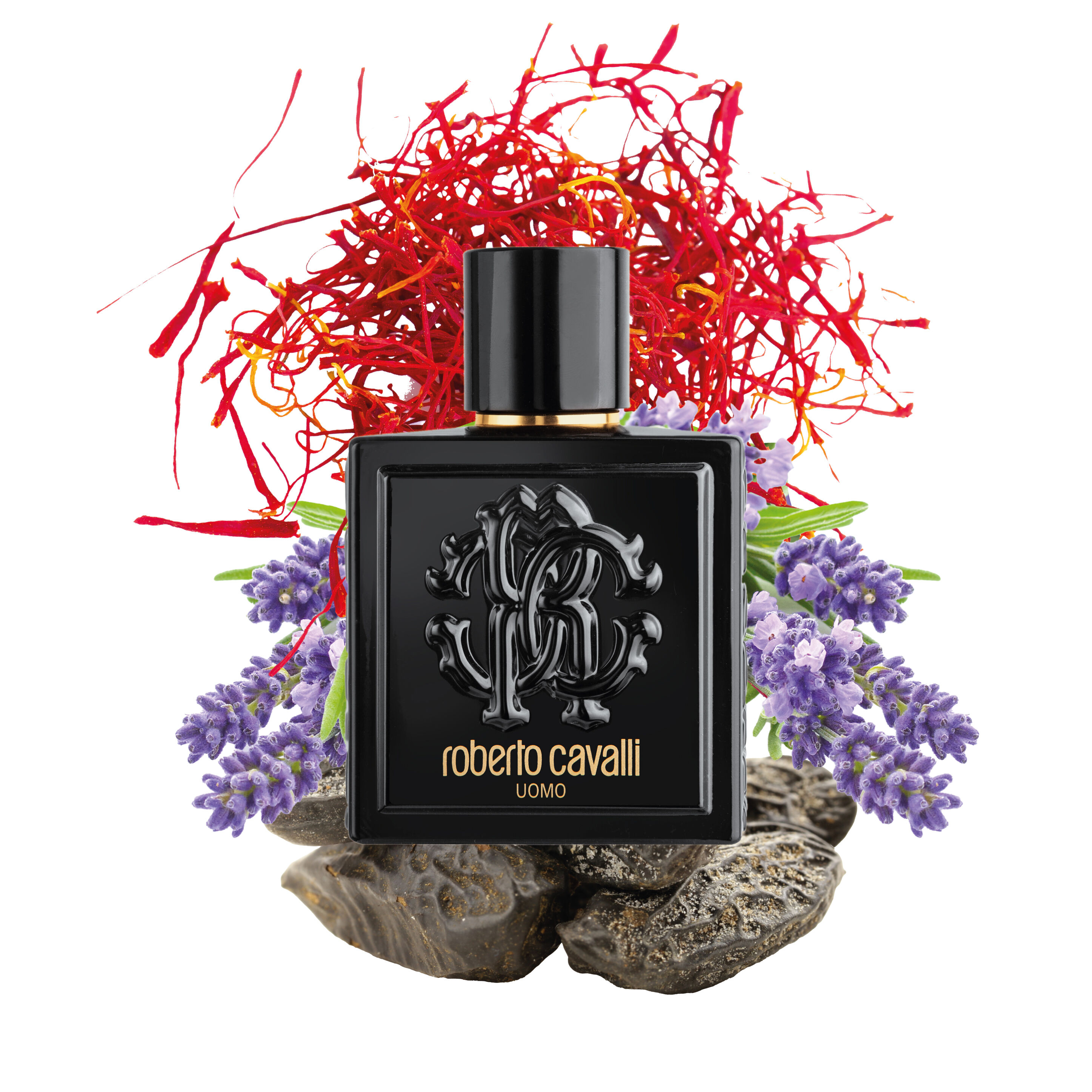 香水(男性用) Roberto Cavalli Uomo Parfum ROBERTO CAVALLI UOMO EAU DE TOILETTE 100 ML in Black for Men