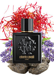 RC ROBERTO CAVALLI UOMO EAU DE TOILETTE 100 ML RC ROBERTO CAVALLI UOMO EAU DE TOILETTE 100 ML Noir SAW015-SA023