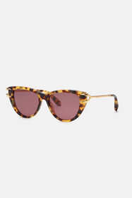 RC Sunglasses Roberto Cavalli Fang Collection Dark brown RALD75-ID078