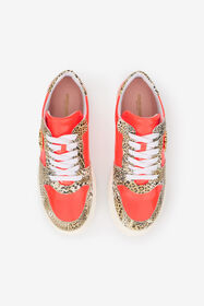 RC Zapatillas deportivas de piel con estampado Leopard RED CORAL/JAGUAR QOS01M-PZO14