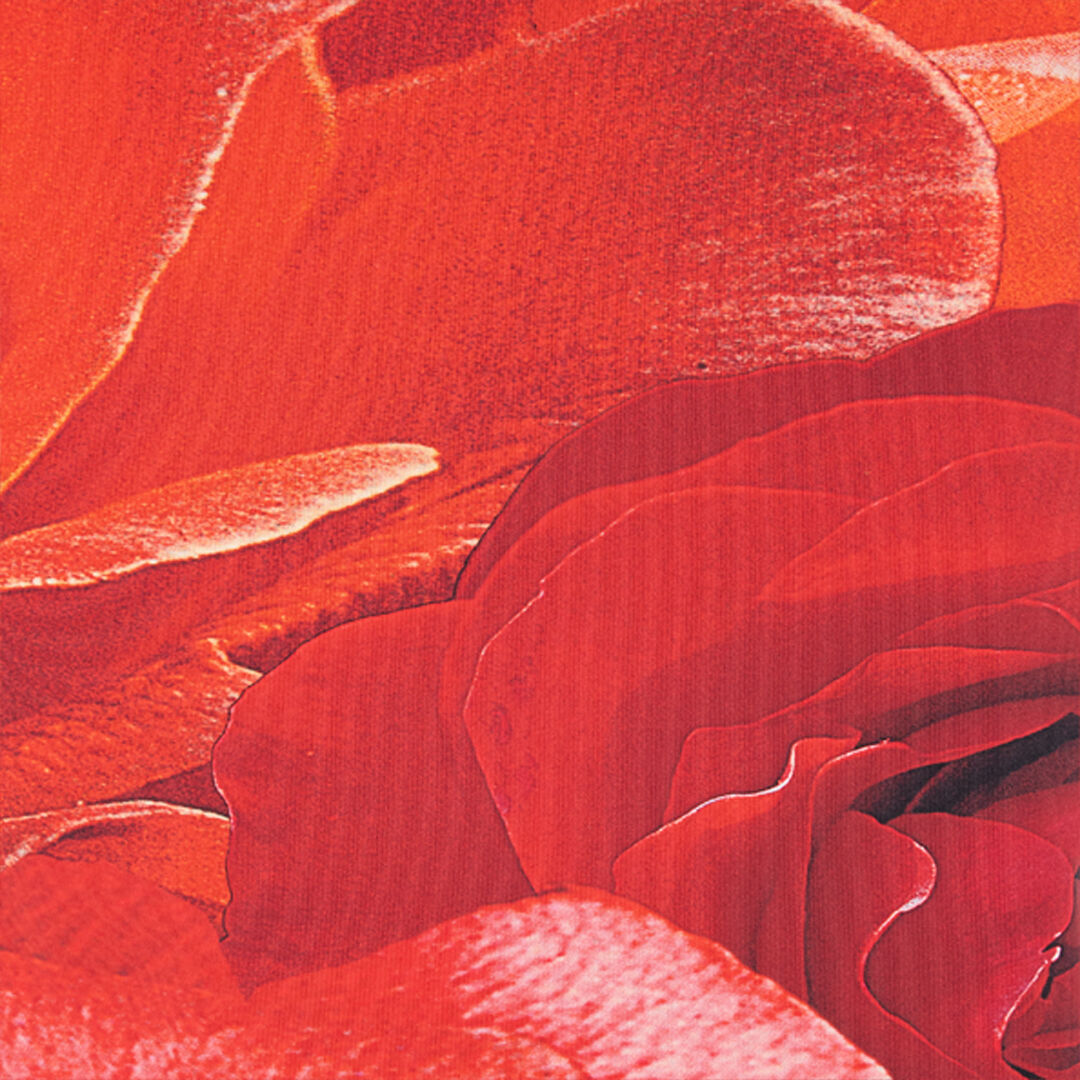 RC Jupe Fourreau À Imprimé Roses RC Jupe Fourreau À Imprimé Roses Rouge UKT300-LNN48