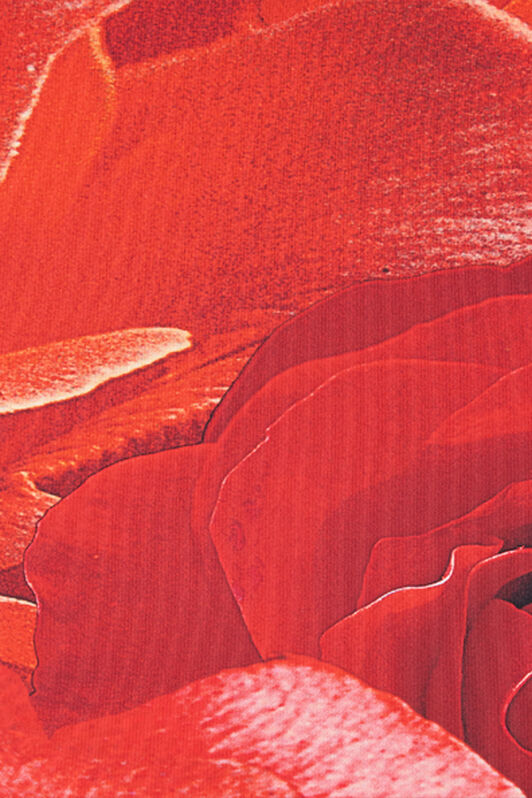 RC Jupe Fourreau À Imprimé Roses RC Jupe Fourreau À Imprimé Roses Rouge UKT300-LNN48