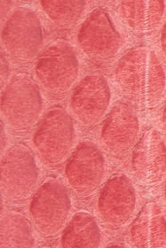 RC Ceinture Rose En Cuir Avec Boucle Serpent PINK WKC002-PA001