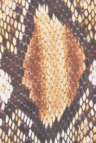RC Python Print Trousers Brown UWT201-4QN93