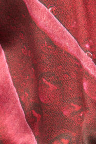 RC Camicia Body Con Stampa Garden Rose Rosso UKT706-RYN48
