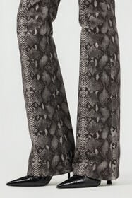 RC Python Print Jeans PYTHON DARK GREY SOJ20S-DL008