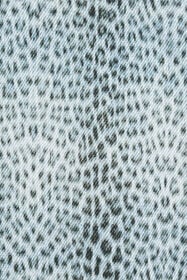 RC Oversized T-shirt with Baby Jaguar Print QUIET HARBOUR WNT62B-3PR31