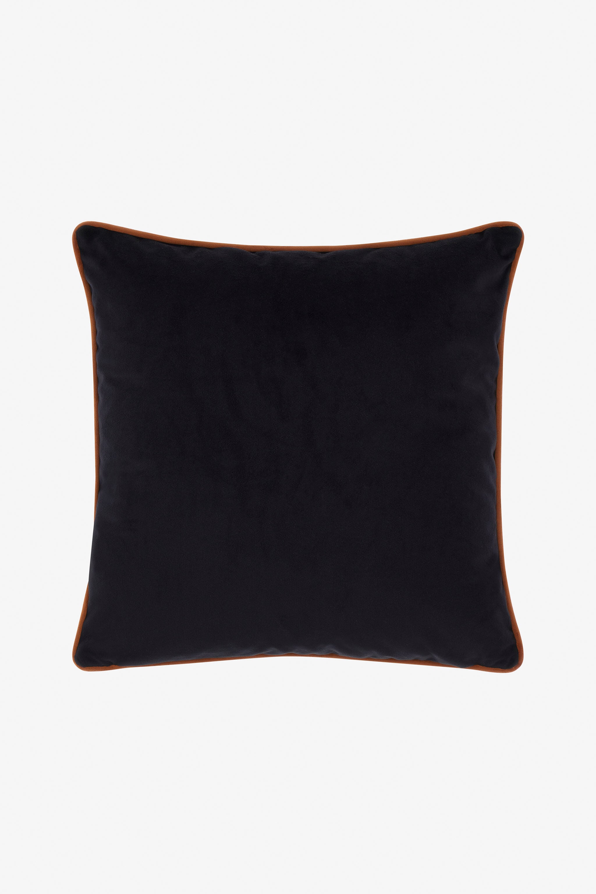 HO Cuscino Con Stampa Ray Of Gold HO Cuscino Con Stampa Ray Of Gold Oro SALM43-IM083