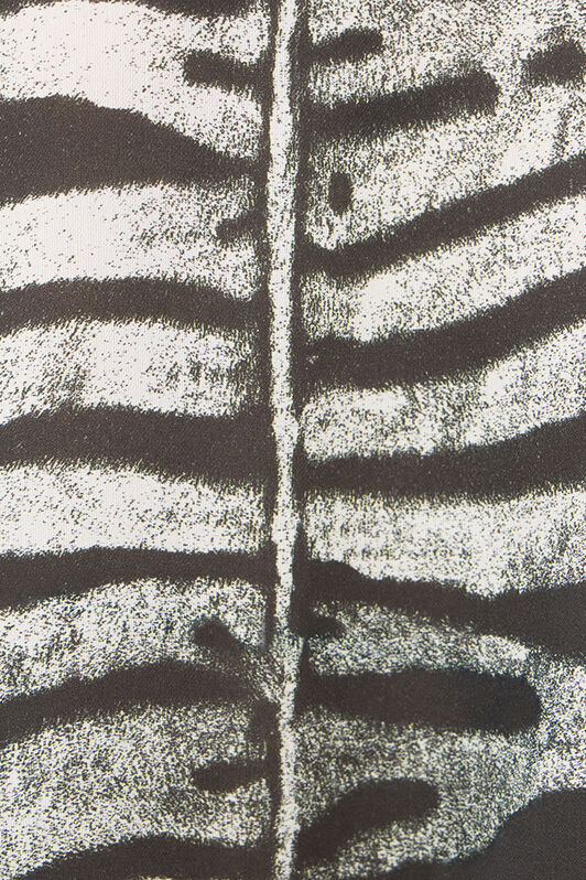 RC Dress With Belt And Zebra Print RC Dress With Belt And Zebra Print Black/White UKT180-CTN50