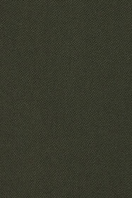 RC Pantaloni fluidi Verde scuro TWT202-WP059