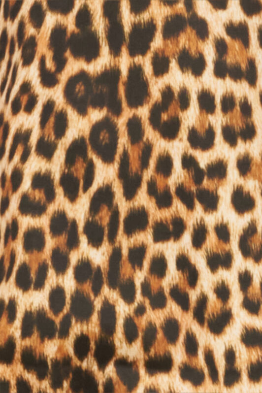 RC Leopard Print One-Piece Swimsuit JAGUAR QOW00D-HVI17
