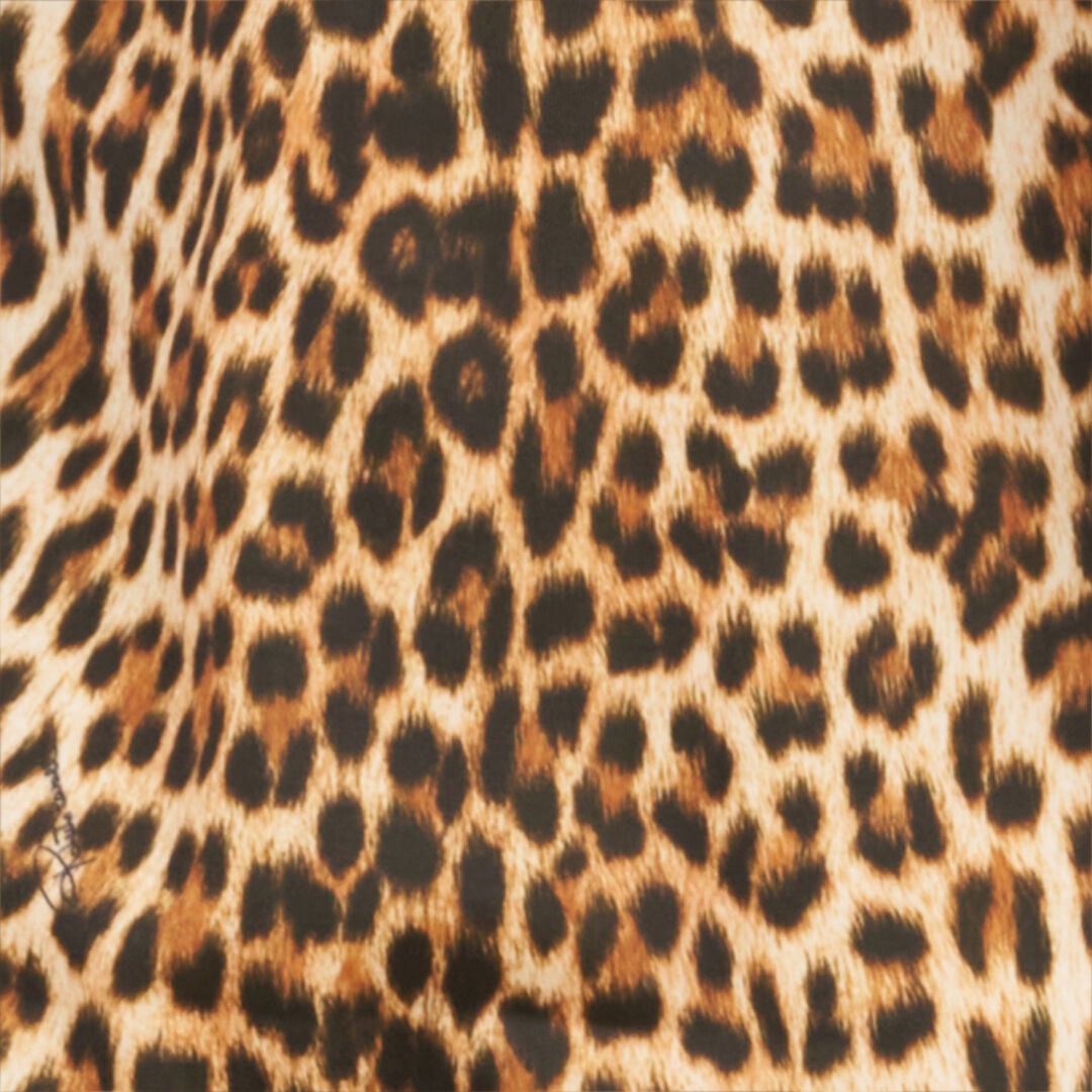 RC Leopard Print One-Piece Swimsuit JAGUAR QOW00D-HVI17