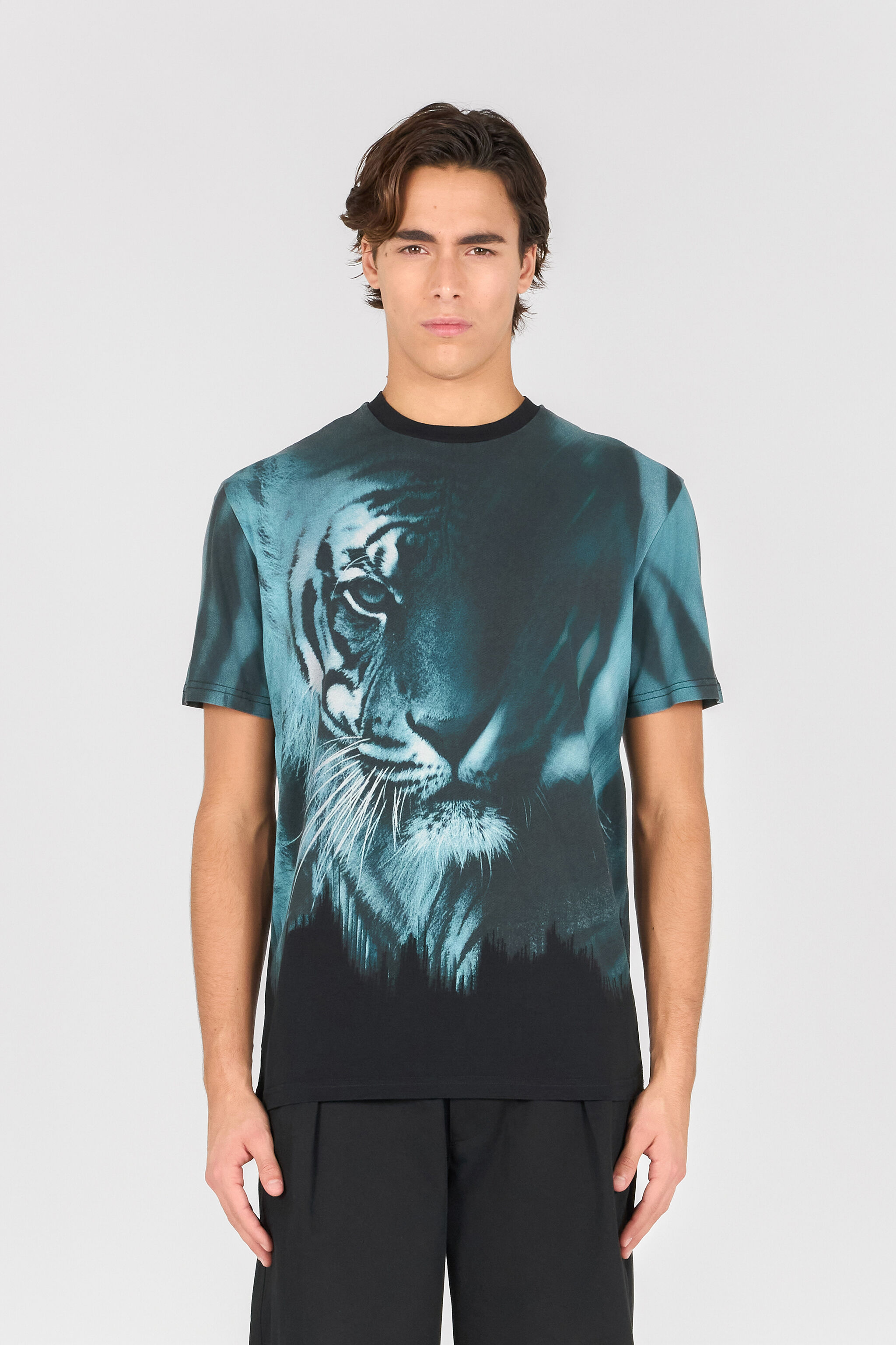 RC Tiger print T-shirt BLACK/LIGHT BLUE OOT60H-JFO62