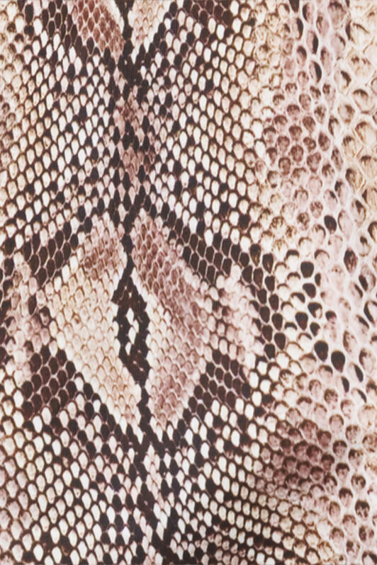RC Python Print Swimsuit PYTHON QOW00D-HVI18