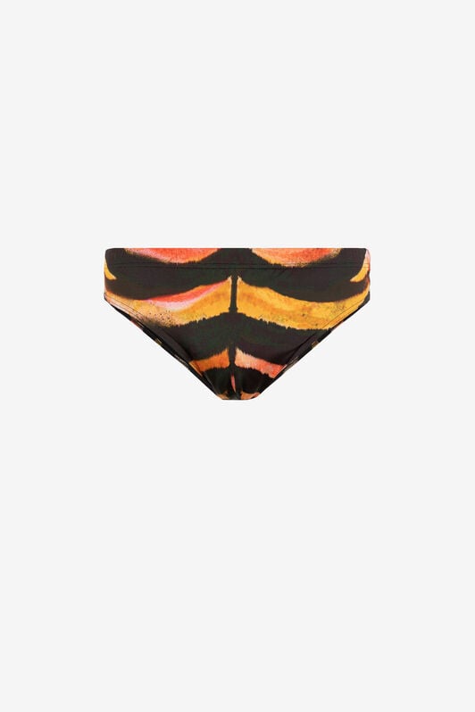 RC Tiger-Print Swim Briefs FIRE/BLACK ONH07C-HVD03