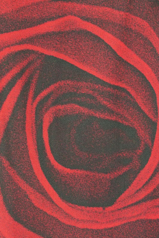 RC Chemise À Imprimé Jaguar Skin Et Roses RC Chemise À Imprimé Jaguar Skin Et Roses Rouge UKT704-4QN48