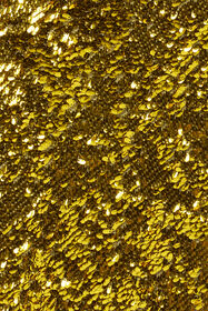 RC Midi Skirt with Gold Sequins YELLOW WQT306-FT014