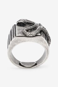 RC Serpentine Ring PALLADIUM OLD XNG001-AM258