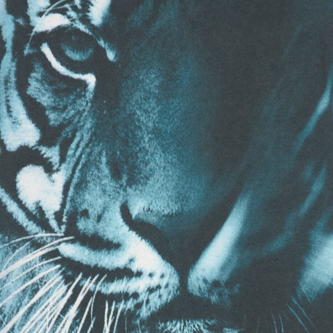 RC Tiger print T-shirt BLACK/LIGHT BLUE OOT60H-JFO62