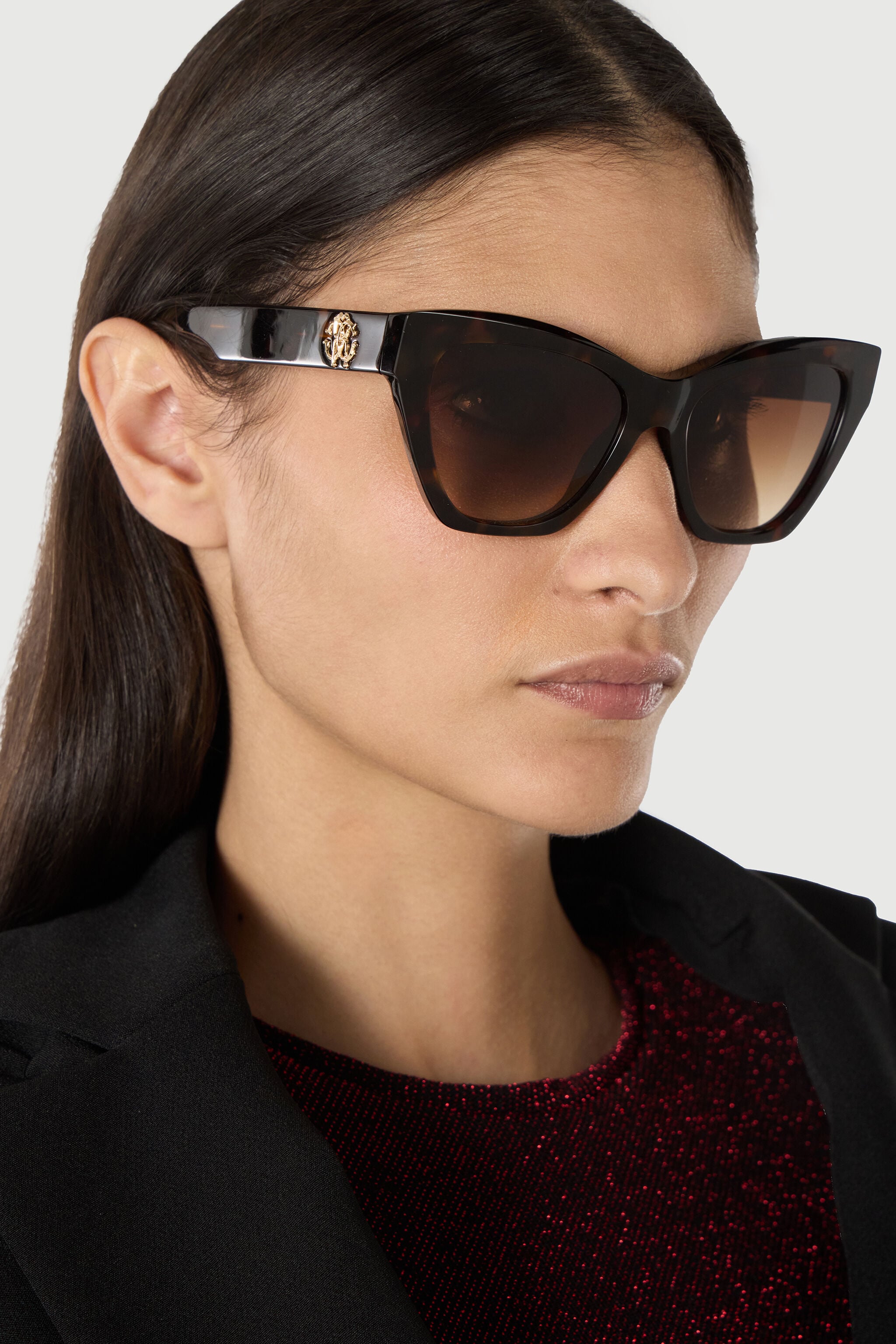 RC Sunglasses Roberto Cavalli RC Sunglasses Roberto Cavalli Brown SALD44-ID155