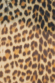 RC Baby Jaguar Print Silk Kaftan BROWN WQW028-HNR31