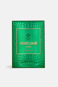 RC Verde Assoluto 100ML RC Verde Assoluto 100ML GENERIC WALI01-II042