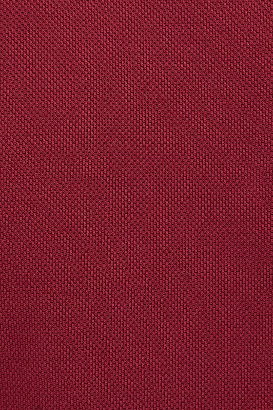 RC Polo Burdeos con Bordado de Serpiente RC Polo Burdeos con Bordado de Serpiente CABERNET ROT60F-KB003