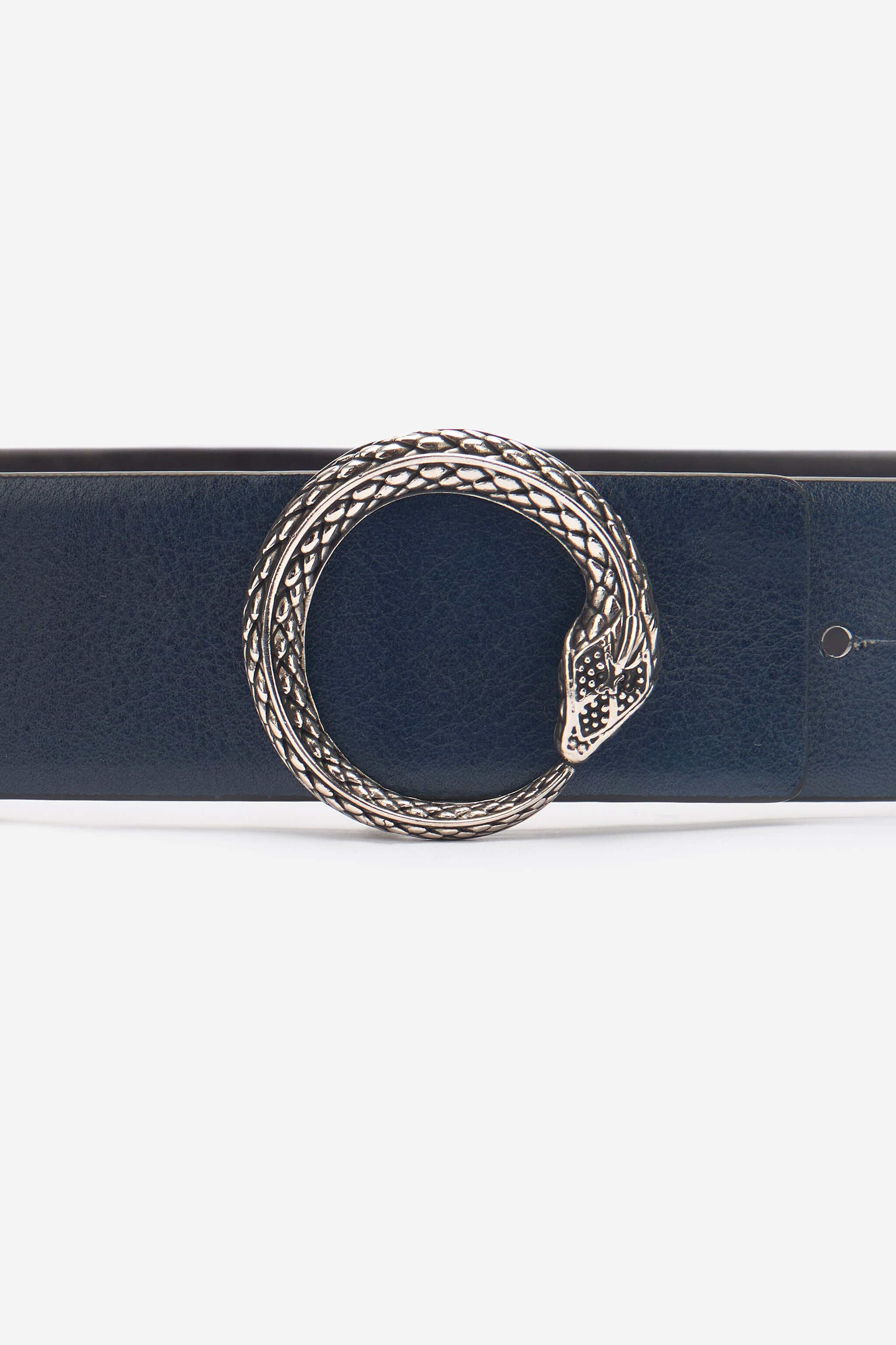 Belt With Snake Buckle in Black for Men | Roberto Cavalli®