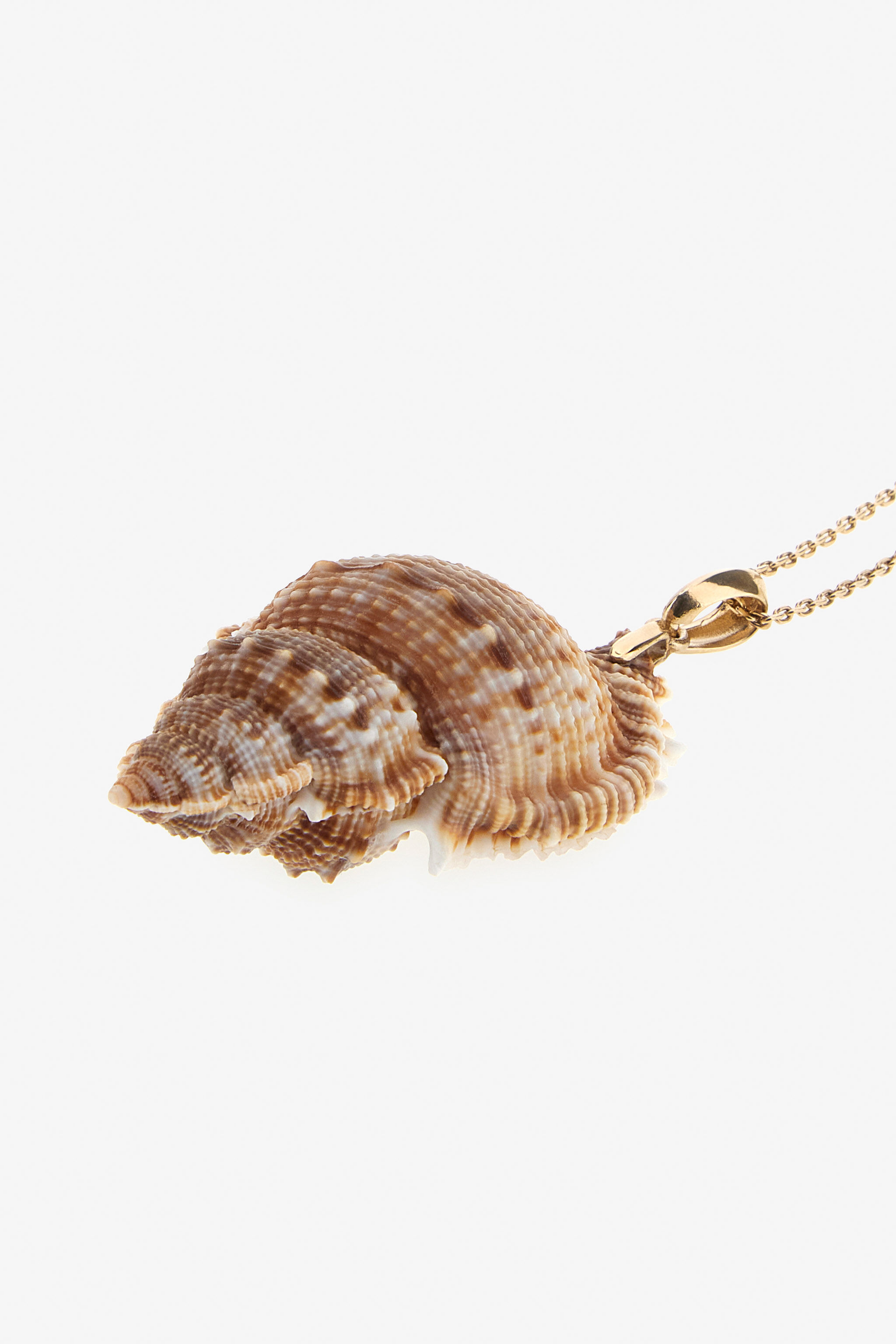 RC Necklace with shell Gold SWG032-AM130