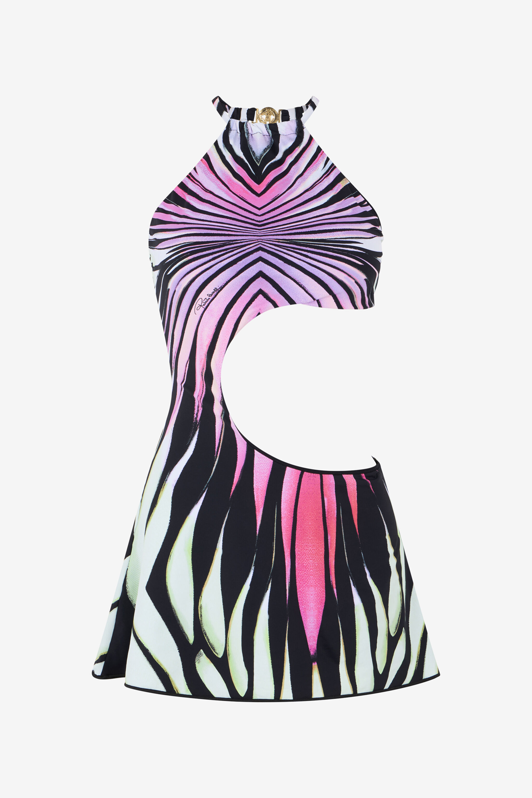 Ray of Paradise Print Dress Mini in MULTICOLOR for Women | Roberto