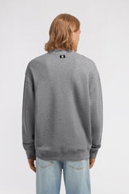 RC Zebra print sweatshirt Gris TRT68D-CF050