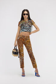 JC Just Cavalli denim Orange SFJ016-SF857