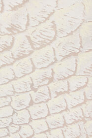 RC Tuta Bianca Con Stampa Serpentine e Cut-out WHITE WWT112-HES36