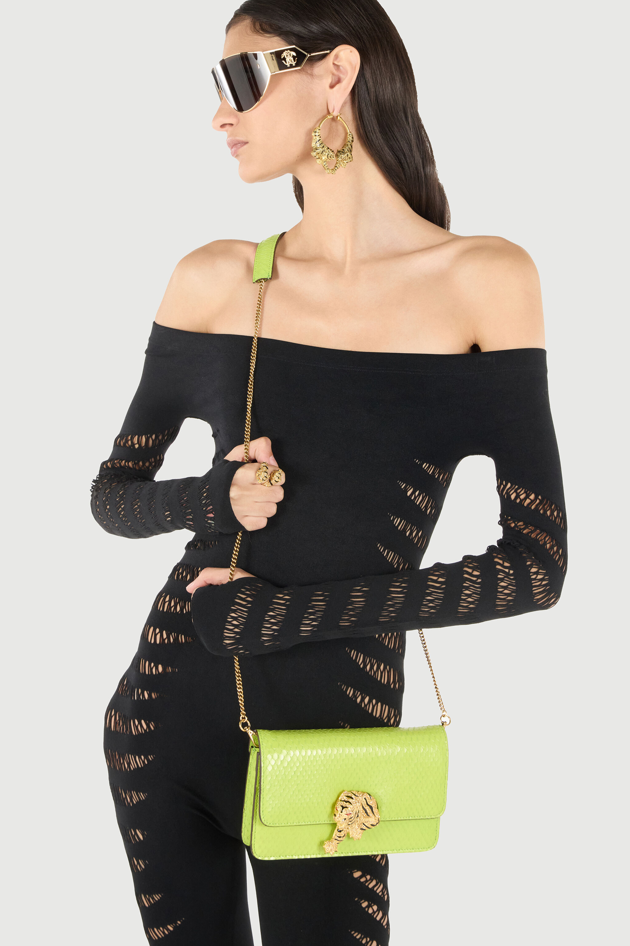 Roar Bag With Bejeweled Tiger in Light green for Women | Roberto