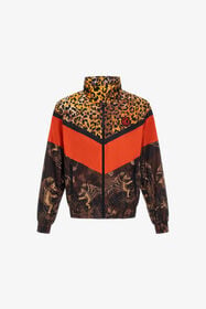 JC Just Cavalli bomber Marrón claro SFT307-SF226