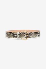 RC Ceinture Avec Boucle Fang Gris TKC003-UC002