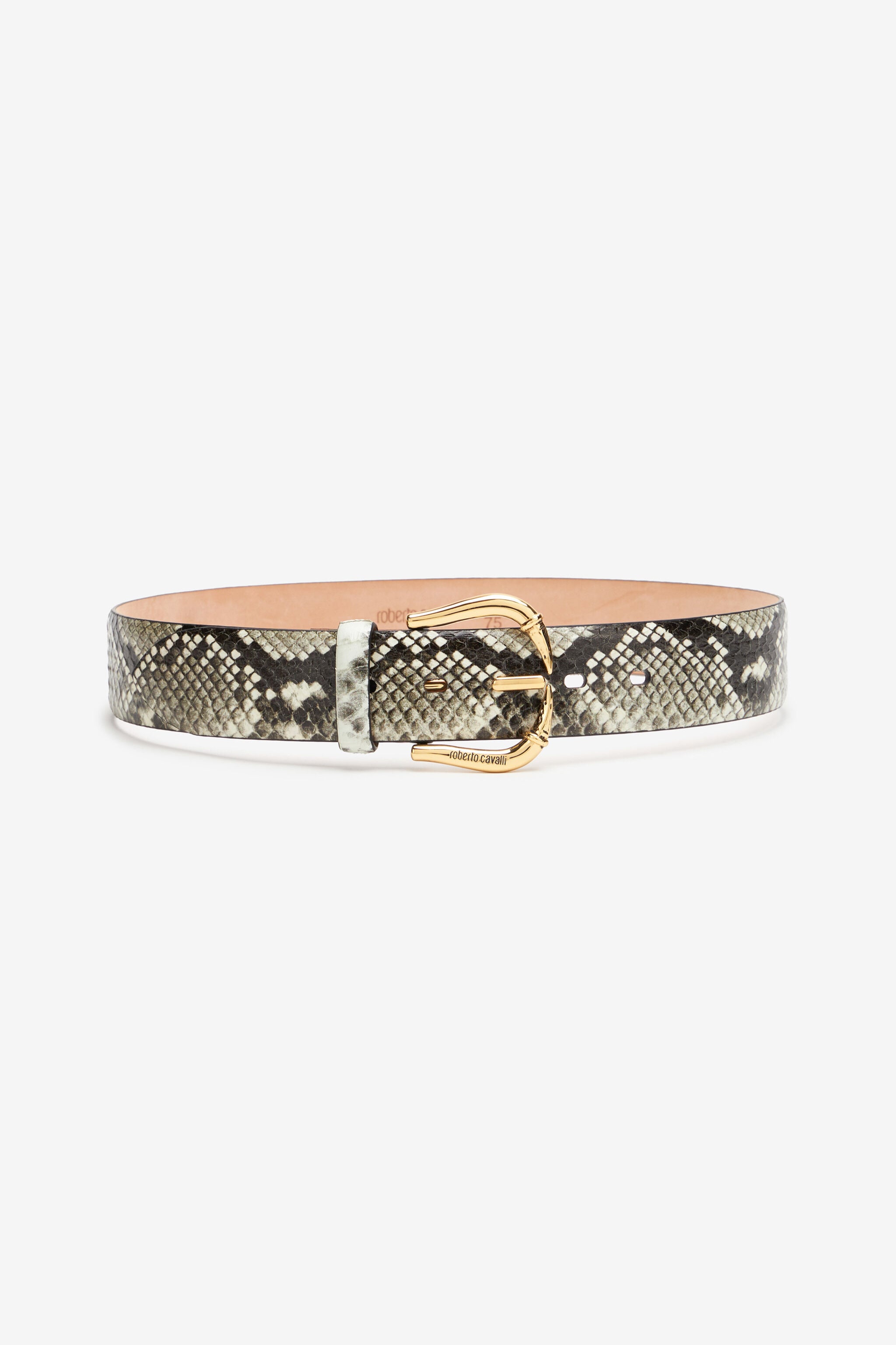 RC Belt with Fang buckle Gray TKC003-UC002