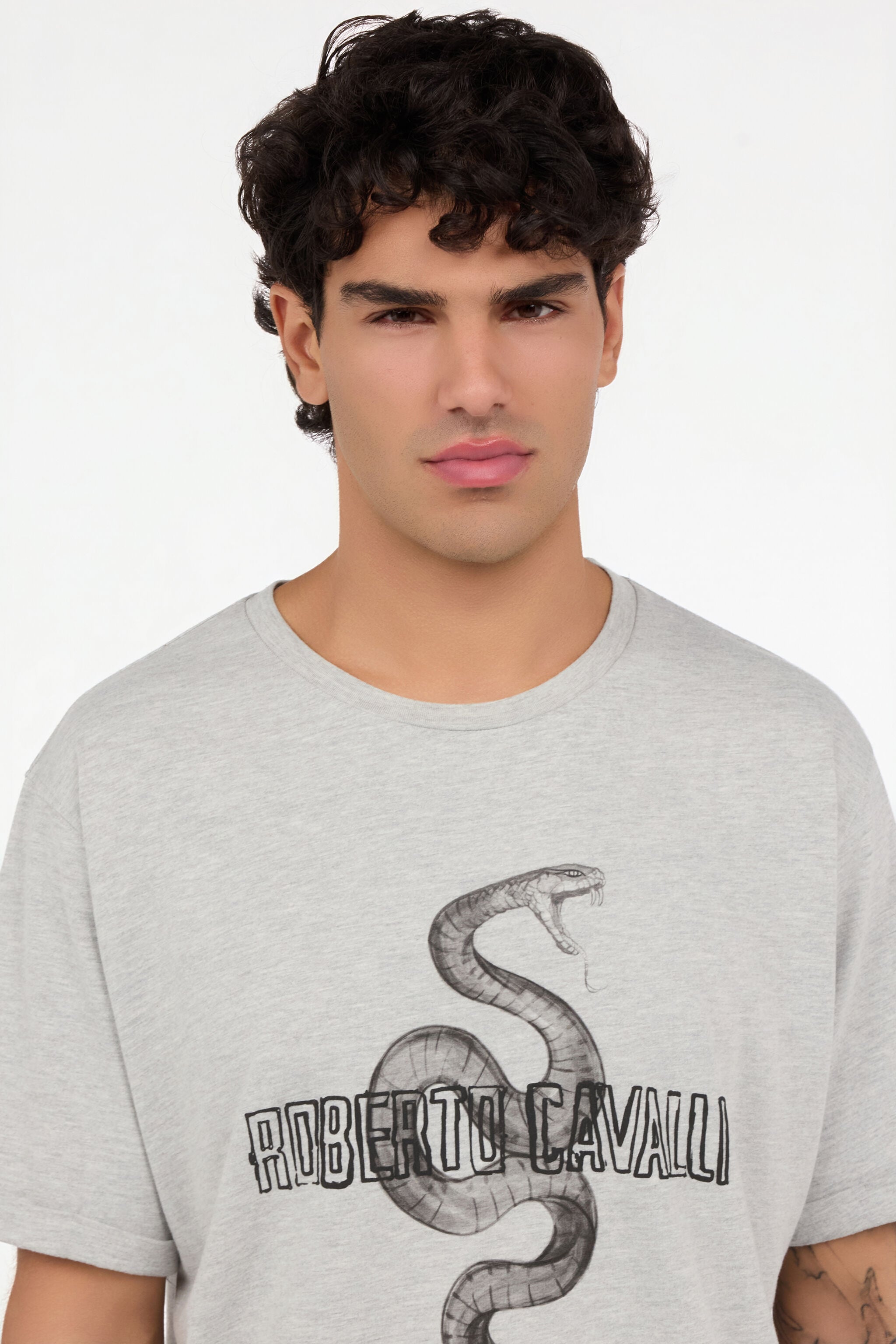 RC Grey Mélange T-Shirt with Snake and Logo RC Grey Mélange T-Shirt with Snake and Logo GREY MELANGE ROT60D-JD055