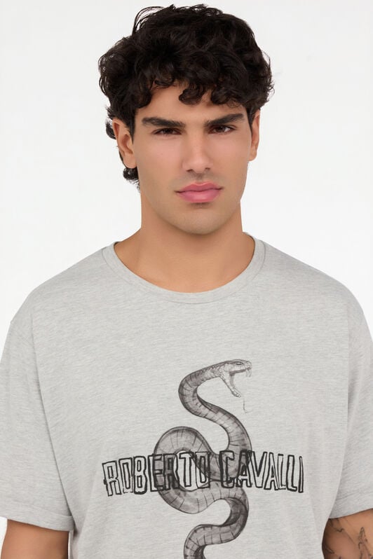 RC Grey Mélange T-Shirt with Snake and Logo RC Grey Mélange T-Shirt with Snake and Logo GREY MELANGE ROT60D-JD055