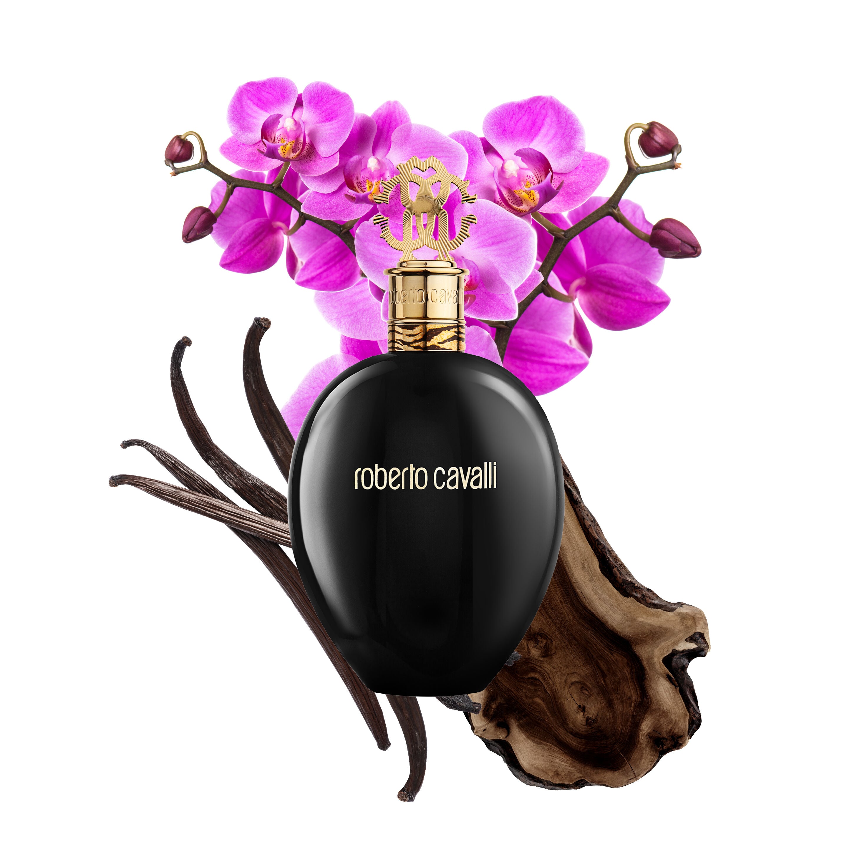 ROBERTO CAVALLI NERO ASSOLUTO EAU DE PARFUM 75 ML in Black for