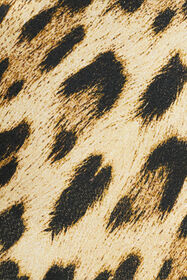 RC Pantaloni Palazzo con Stampa Leopardo NATURAL WQT202-9HQ71