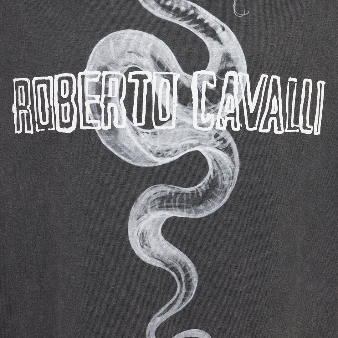 RC Grey T-Shirt With Snake Logo Print RC Grey T-Shirt With Snake Logo Print BLACK ROT60D-JD055