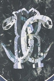 RC T-Shirt With Mirror Snake Monogram And Marble Print Dark blue UKT610-4QN81