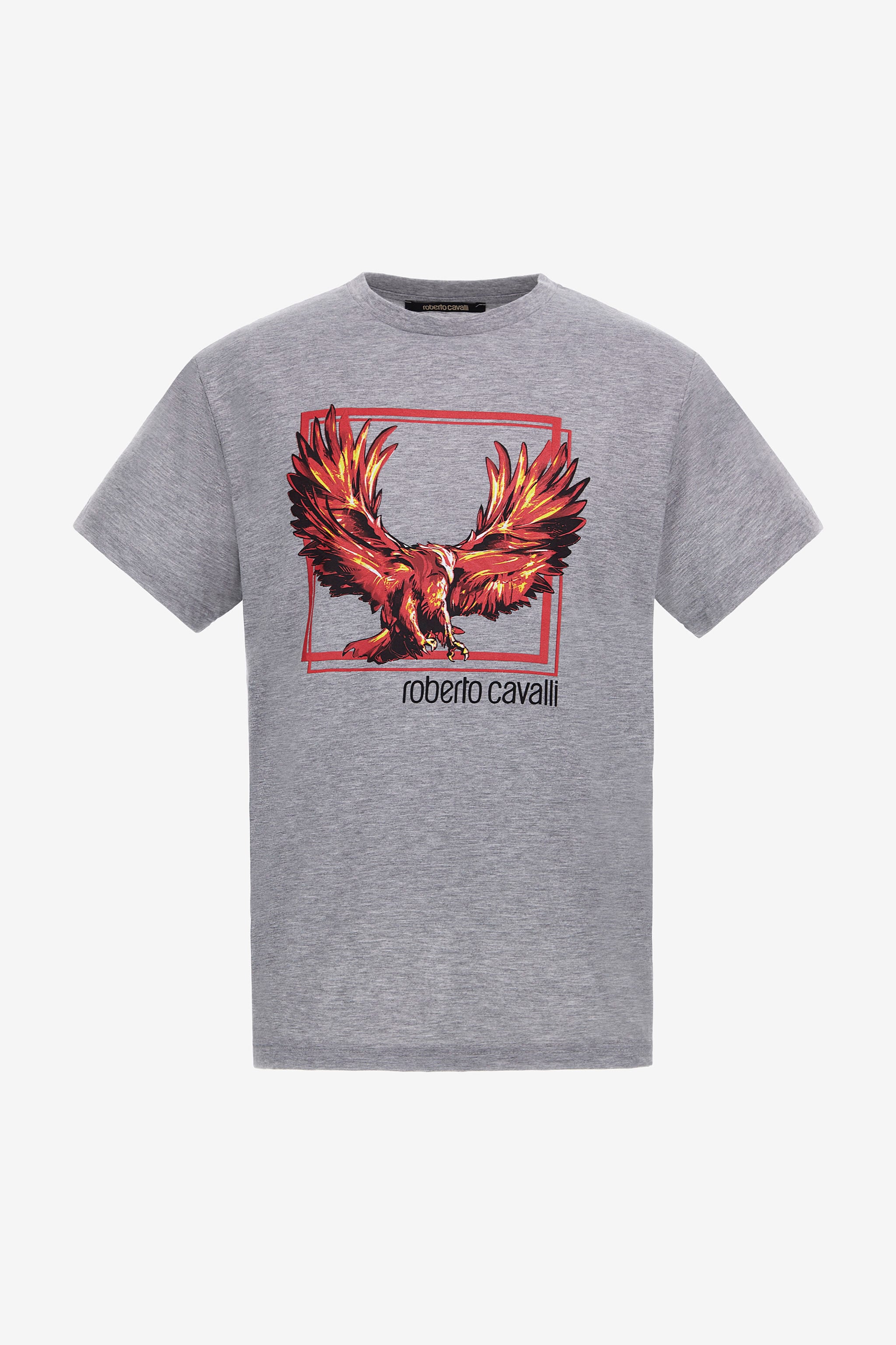 RC T-shirt with Eagle logo and print Gray NOT60E-JD016