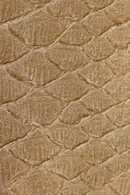 RC Beige Gold Midi Dress with Serpentine Print BEIGE/GOLD WWT111-OOS31