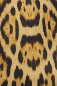RC Long Dress with Jaguar Skin Print NATURALE VWT196-JRR80
