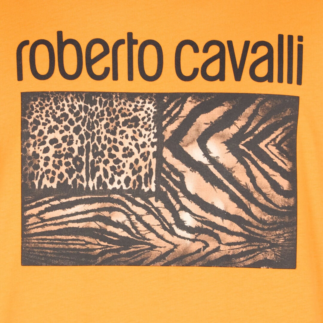 RC Animal print T-shirt with logo RC Animal print T-shirt with logo ORANGE OOT60G-JD060
