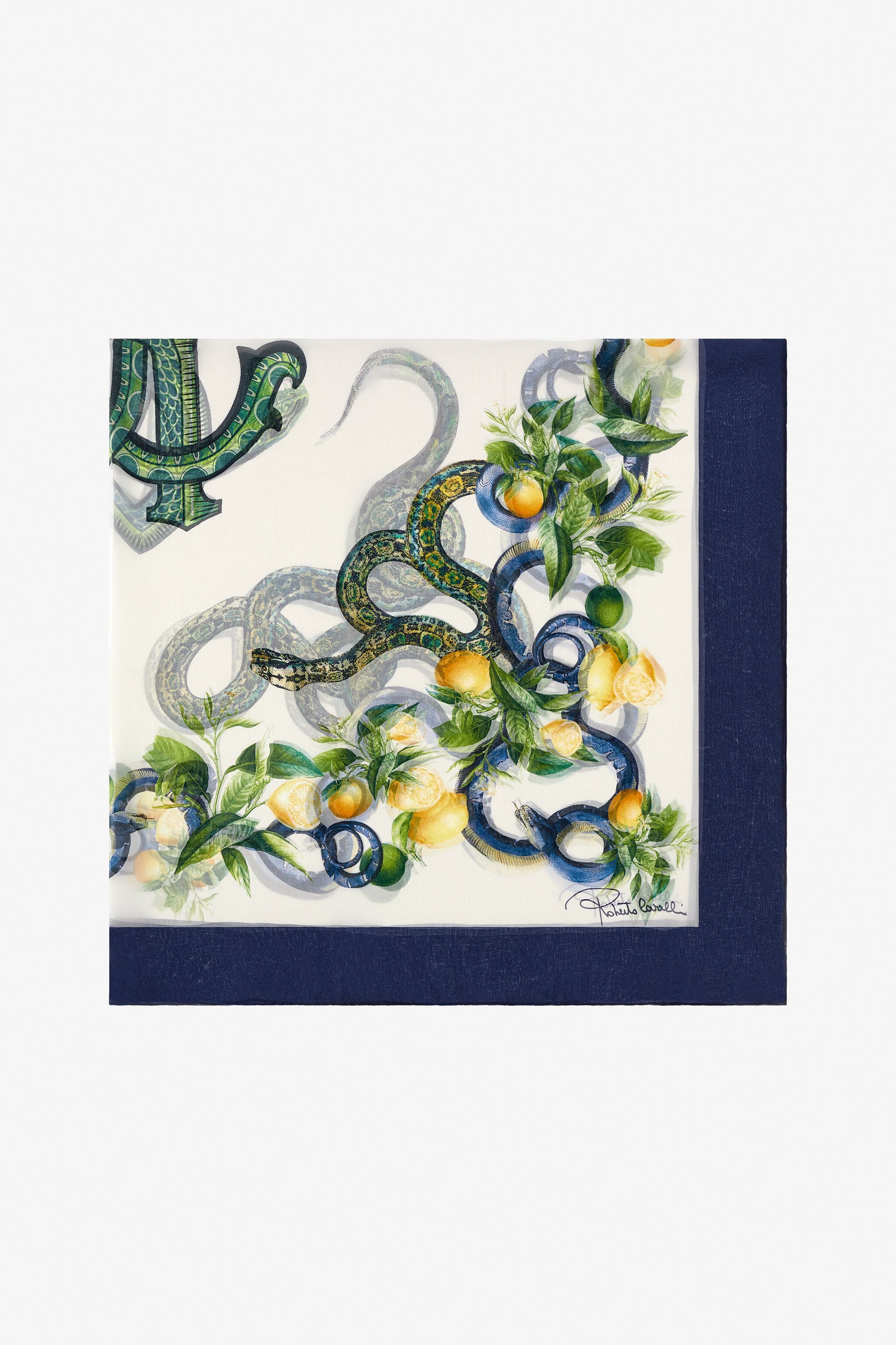 RC Roberto Cavalli shawl with Lemon print Blue SYI00G-2NL58