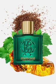 RC Verde Assoluto 100ML RC Verde Assoluto 100ML GENERIC WALI01-II042