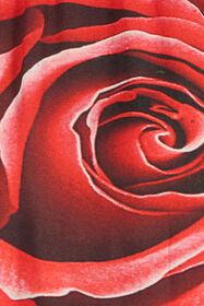 RC Mini Abito Con Stampa Rose E Fusciacca Rosso UKT140-KWN48